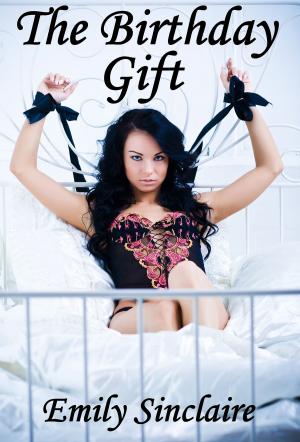 bigCover of the book The Birthday Gift by 