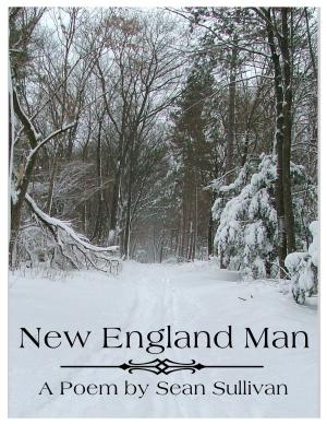 bigCover of the book New England Man by 