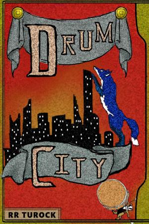 Book cover of Drum City
