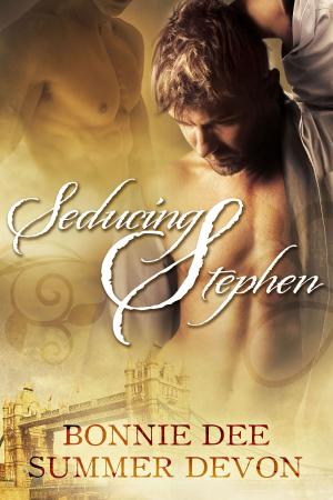 Cover of the book Seducing Stephen by Attero