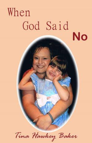 Cover of the book When God Said No by Laurie Cain