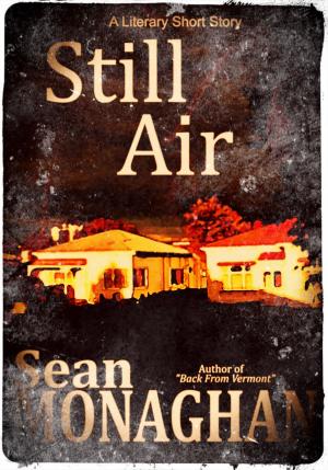 Cover of the book Still Air by Sean Monaghan