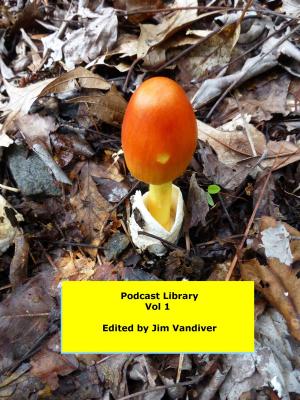 Cover of the book Podcast Library, Vol 1 by Rosalie Marsh