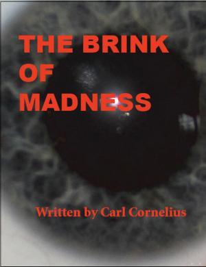 Cover of the book The Brink of Madness by Rita Kruger
