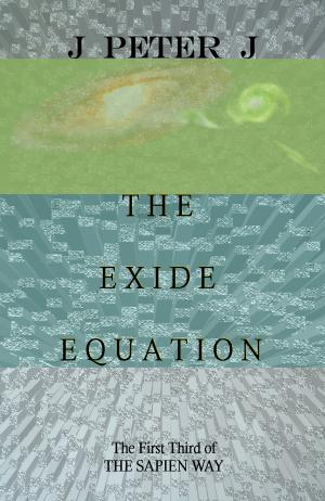 Cover of the book The Exide Equation by J. Peter J.
