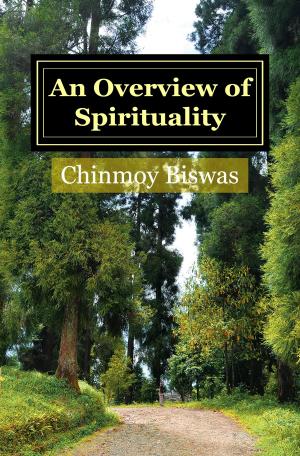 Book cover of An Overview of Spirituality