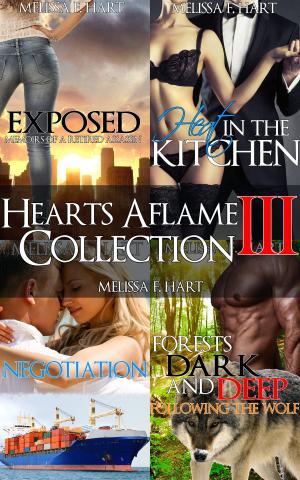 Cover of the book Hearts Aflame Collection III: 4-Book Bundle by Melissa F. Hart