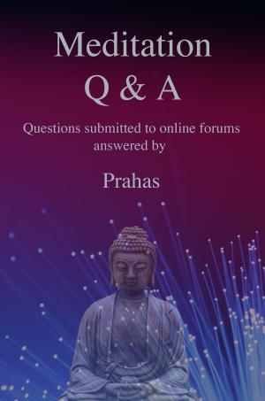 Cover of Meditation Q & A