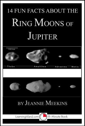Cover of the book 14 Fun Facts About the Ring Moons of Jupiter: A 15-Minute Book by Cullen Gwin