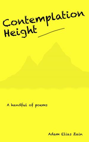 Cover of the book Contemplation Height by Oscar Wilde