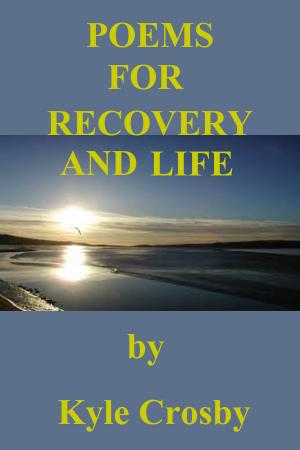 Cover of the book Poems for Recovery and Life by KT Tran