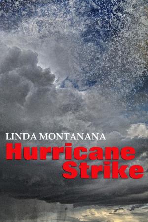 Cover of the book Hurricane Strike by Julianne T. Grey