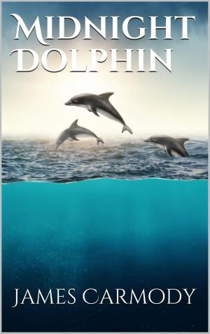 Cover of the book Midnight Dolphin by P.K. Lentz