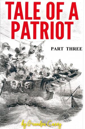 Cover of Tale of a Patriot Part Three