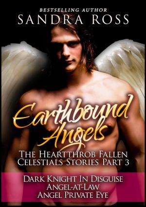 Book cover of Earthbound Angels Part 3: The Heartthrob Fallen Celestial Stories Collection