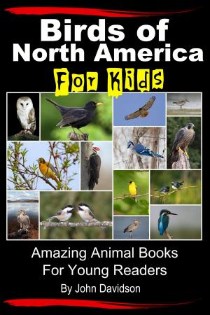 Cover of the book Birds of North America For Kids: Amazing Animal Books for Young Readers by John Davidson, Paolo Lopez de Leon, Adrian Sanqui
