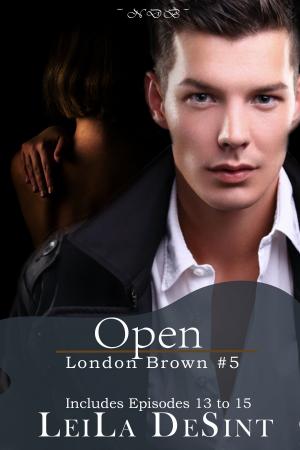 Cover of the book Open [London Brown #5] by Maidenhead Publishing