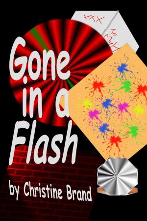 Cover of the book Gone in a Flash by Dan Marvin