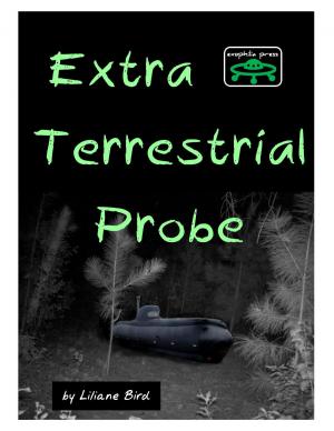 Book cover of Extraterrestrial Probe