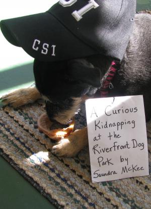 bigCover of the book A Curious Kidnapping at the Riverfront Dog Park by 