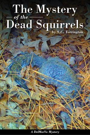 Cover of the book The Mystery of the Dead Squirrels by Ann S. Marie
