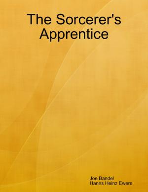 Cover of the book The Sorcerer's Apprentice by Devon Winterson