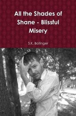 Book cover of All the Shades of Shane - Blissful Misery