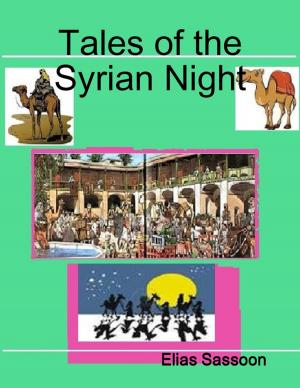 Book cover of Tales of the Syrian Night