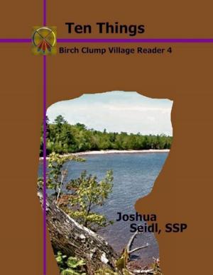 Book cover of Ten Things: Birch Clump Village Reader 4