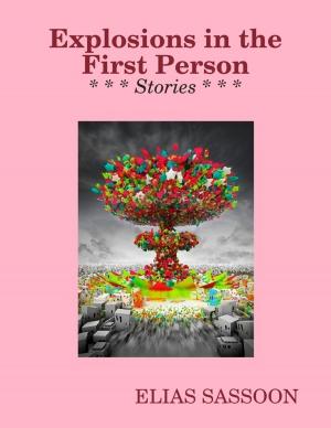 Cover of the book Explosions in the First Person by Kimberlie Wimmer