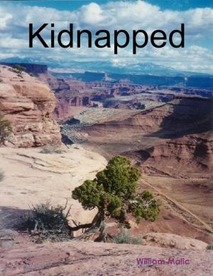 Cover of the book Kidnapped by Anita E Viljoen