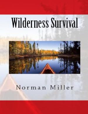 Cover of the book Wilderness Survival by Colin Drake