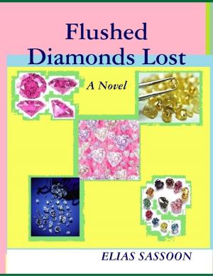Cover of the book Flushed Diamonds Lost by C.K. Omillin