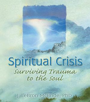 Cover of the book Spiritual Crisis by Ann Steiner, Ph.D.