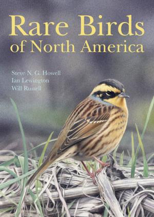 Cover of the book Rare Birds of North America by Helen Margetts, Peter John, Scott Hale, Taha Yasseri