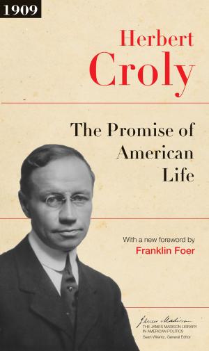 Cover of the book The Promise of American Life by Konrad H. Jarausch