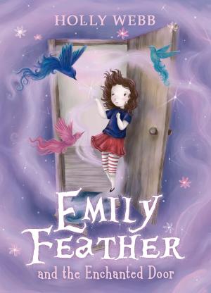 Cover of the book Emily Feather and the Enchanted Door by Paula Rawsthorne