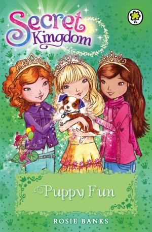 Book cover of Secret Kingdom: Puppy Fun