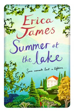 Cover of the book Summer at the Lake by Helen Rolfe