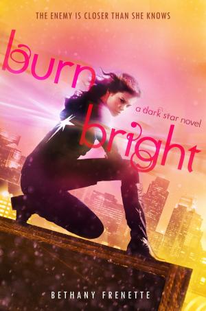 Cover of the book Burn Bright by Rick Riordan