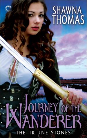 Cover of the book Journey of the Wanderer by Melanie Hansen