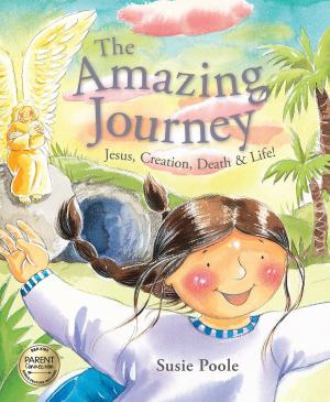 Cover of the book The Amazing Journey by B&H Editorial Staff