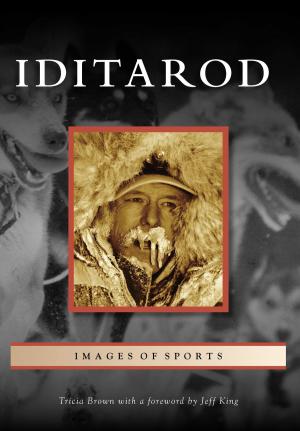 bigCover of the book Iditarod by 