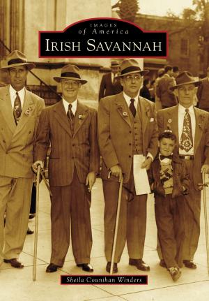 Cover of the book Irish Savannah by David Ira Kagan