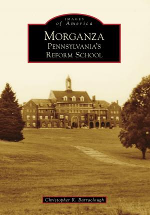 bigCover of the book Morganza by 