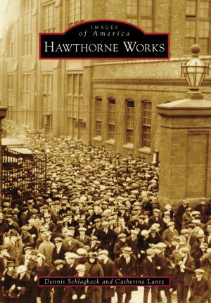 Cover of the book Hawthorne Works by Stephen R. Bockmiller