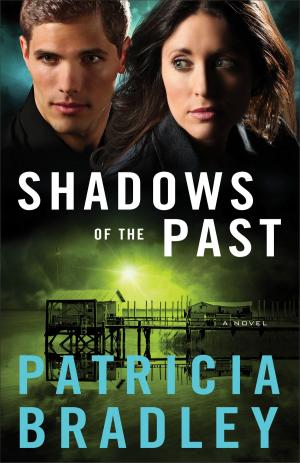 Cover of the book Shadows of the Past (Logan Point Book #1) by 