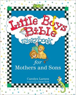 bigCover of the book Little Boys Bible Storybook for Mothers and Sons by 