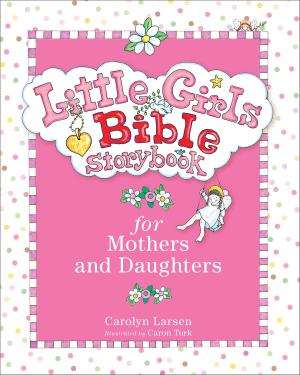 Cover of the book Little Girls Bible Storybook for Mothers and Daughters by Nicholas Perrin