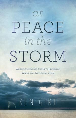 Book cover of At Peace in the Storm